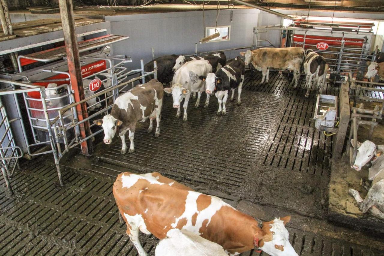 Gite A La Ferme Rouvroy Buitenkant foto